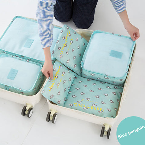 Organizer Luggage