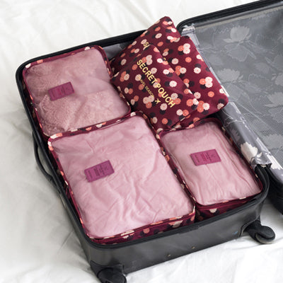Organizer Luggage
